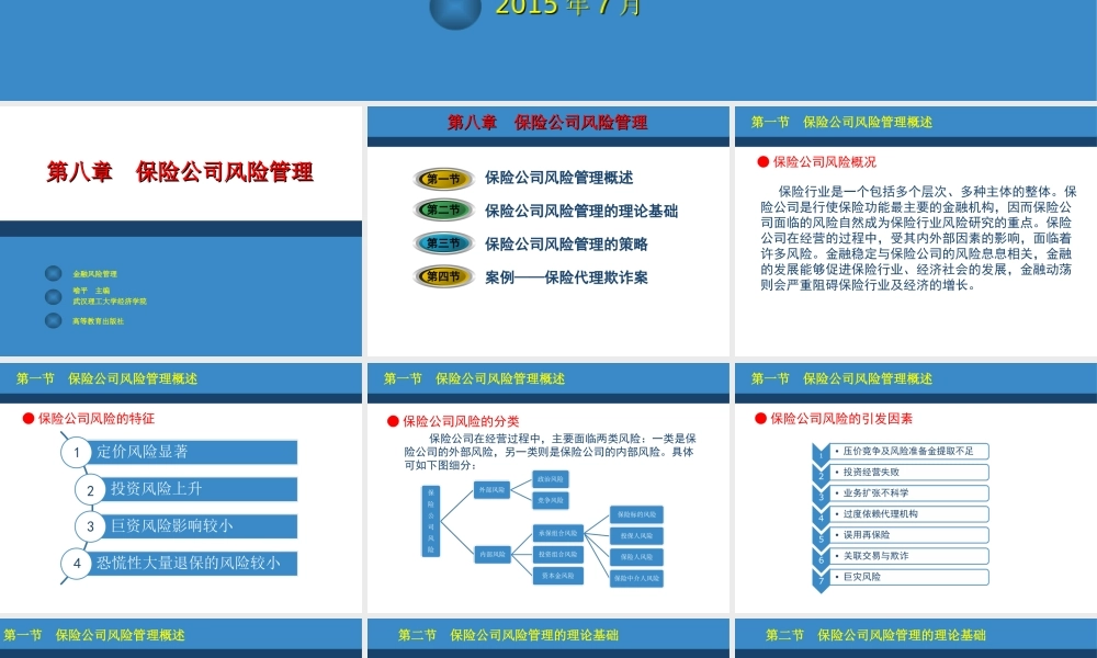 第08章保险公司风险管理.ppt