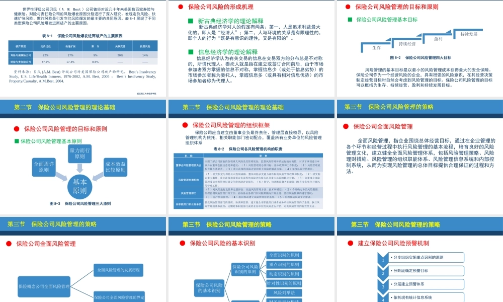 第08章保险公司风险管理.ppt