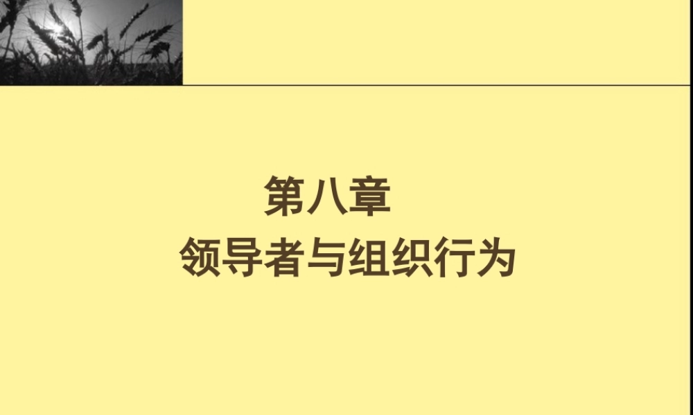 第08章 领导者与组织行为.ppt
