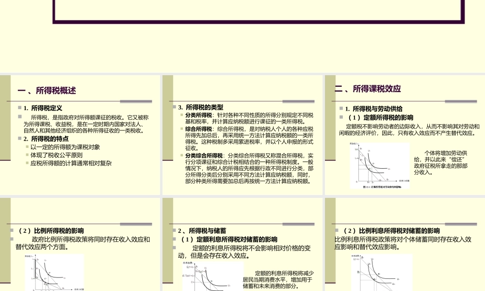 第12章所得税与制度.pptx