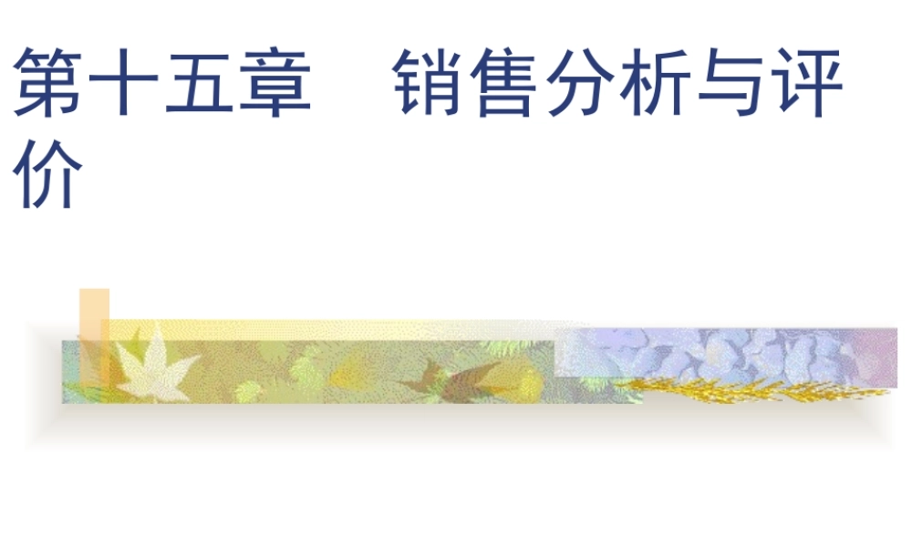第15章销售分析与评价.ppt