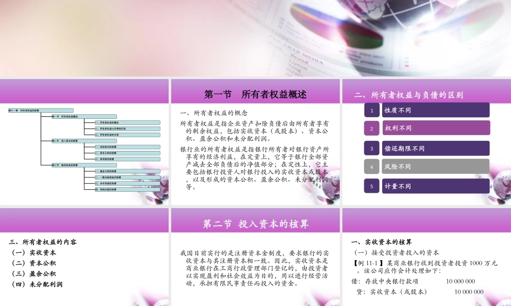 第11章 所有者权益核算.ppt