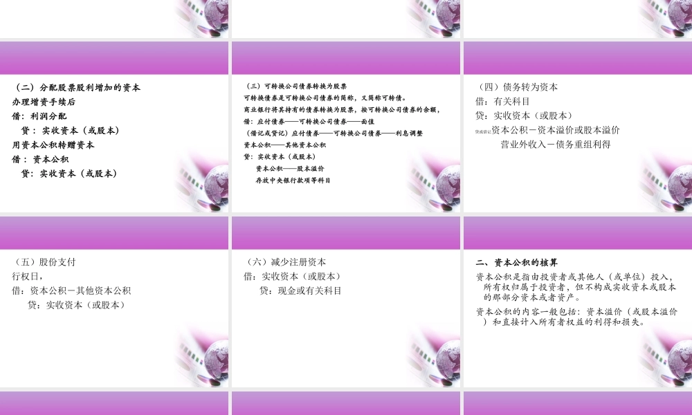第11章 所有者权益核算.ppt