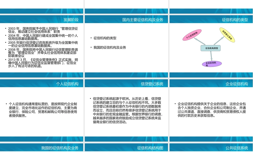 第八章 国内征信业发展模式及监管.ppt