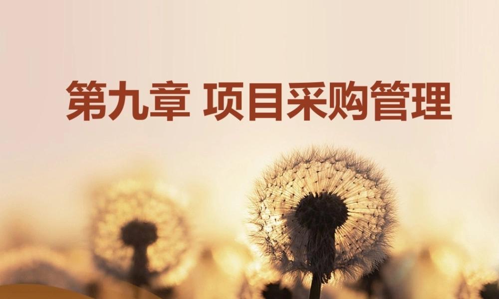 第9章 项目采购管理.ppt