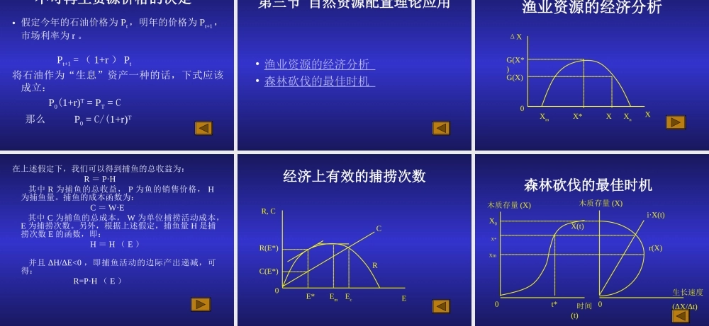第10章 自然资源市场.ppt