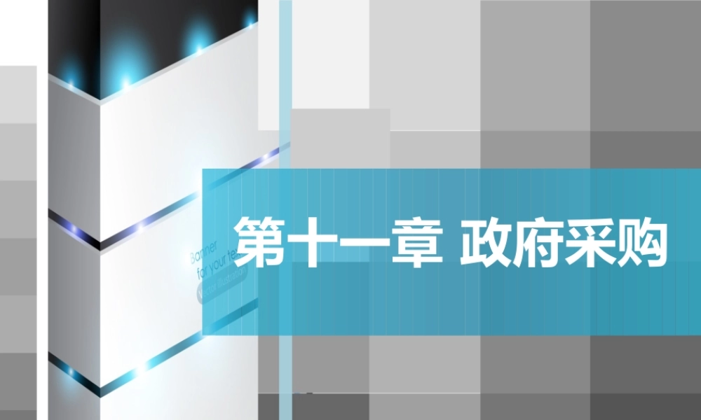 第11章 政府采购.ppt