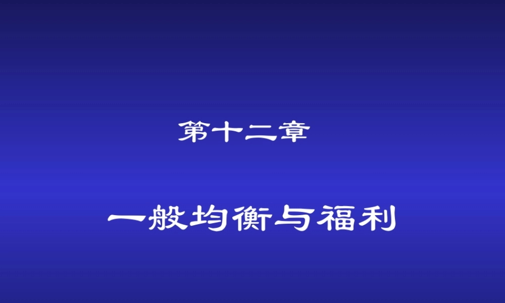 第12章 一般均衡与福利.ppt