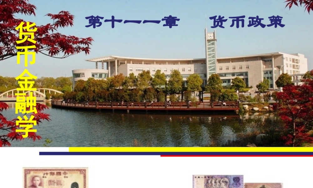 11第十一章货币政策.ppt