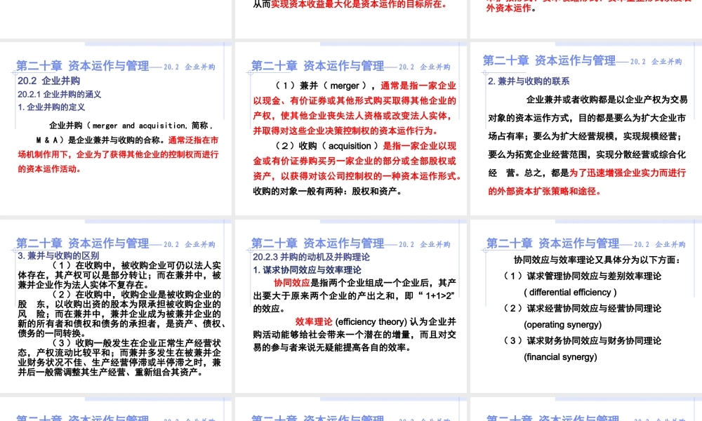 第20章 资本运作与管理.ppt