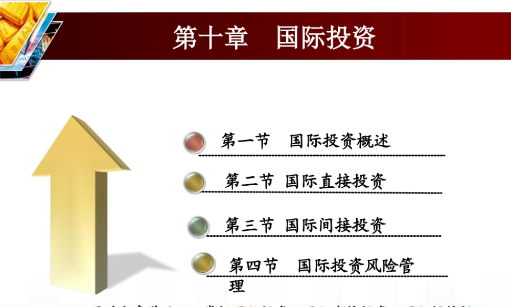 第十章 国际投资.ppt