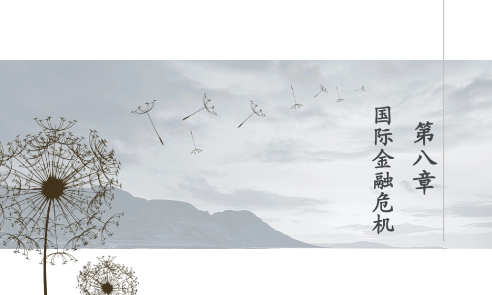 ch8国际金融危机.ppt