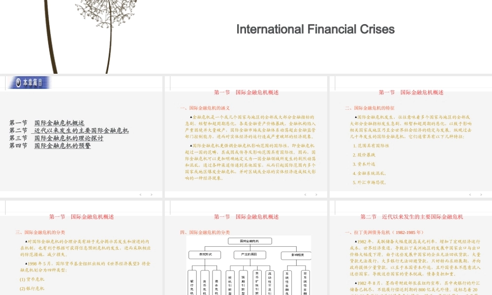 ch8国际金融危机.ppt