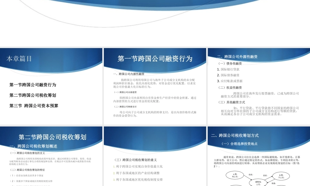 ch13跨国公司国际金融行为.ppt