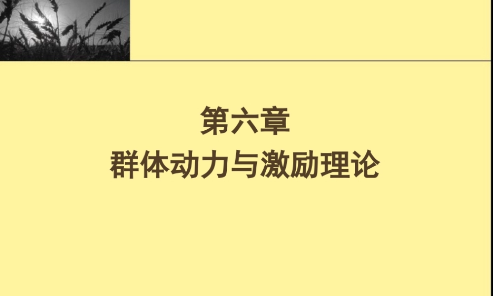 第04章 群体动力与激励理论.ppt