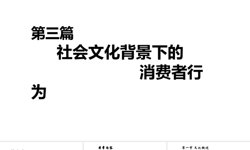 第07章 文化与消费者行为.pptx