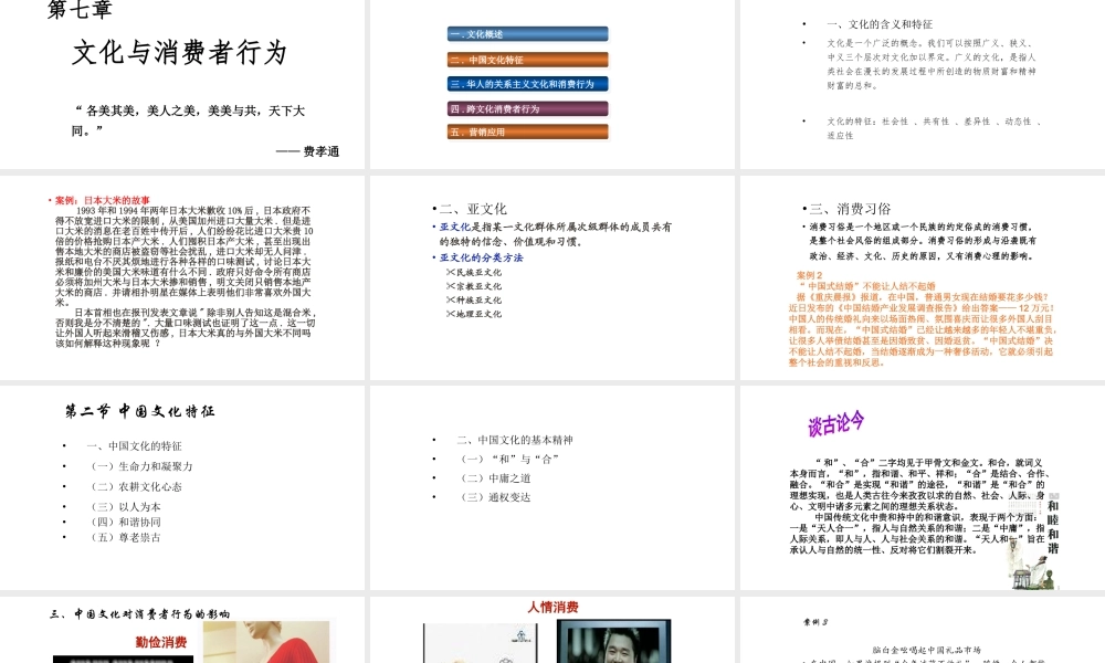 第07章 文化与消费者行为.pptx