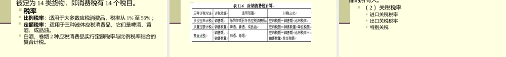 第11章商品税与制度.pptx