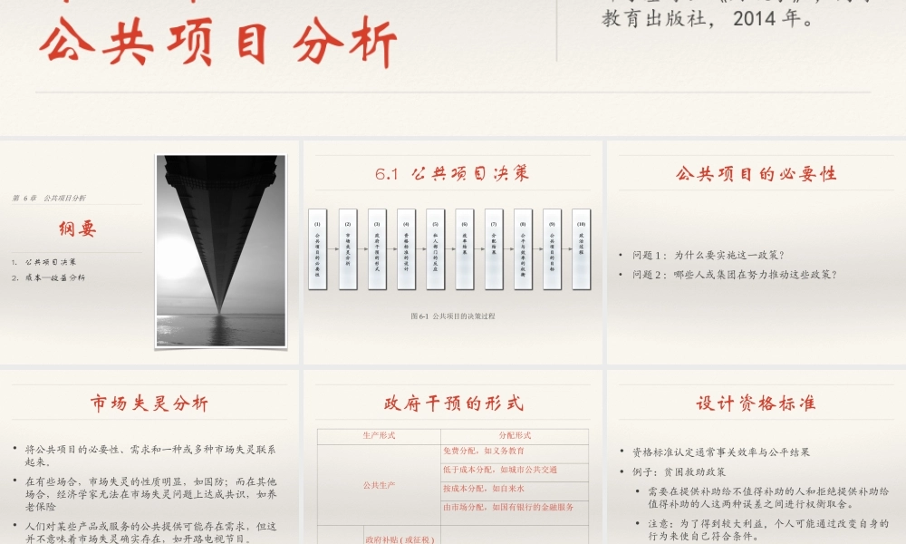 06 公共项目分析.ppt