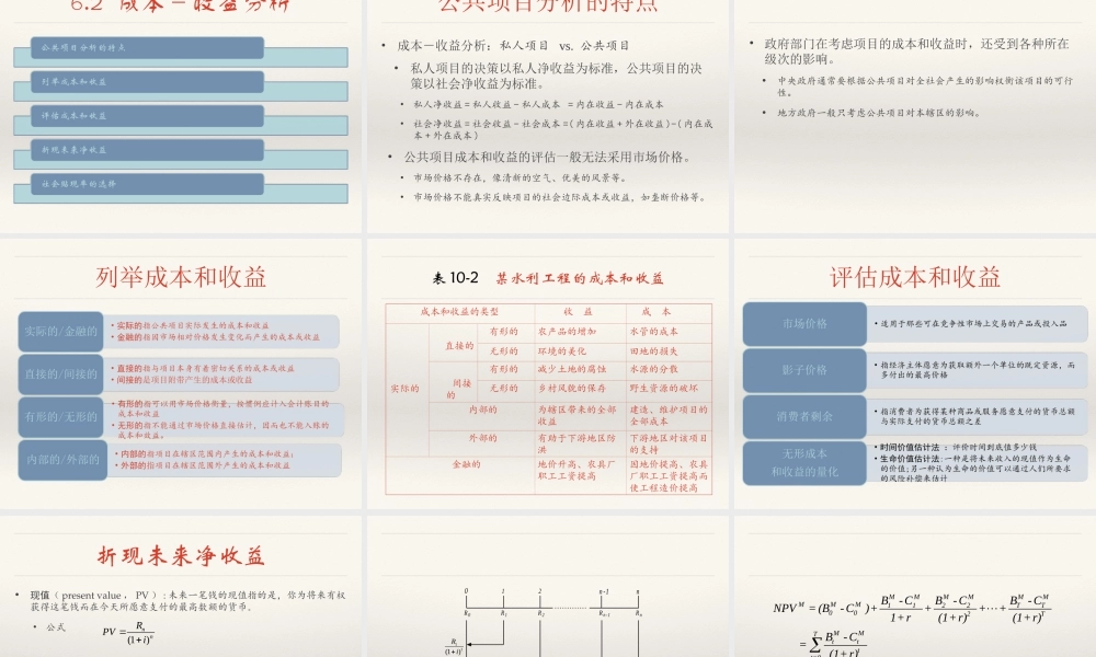 06 公共项目分析.ppt