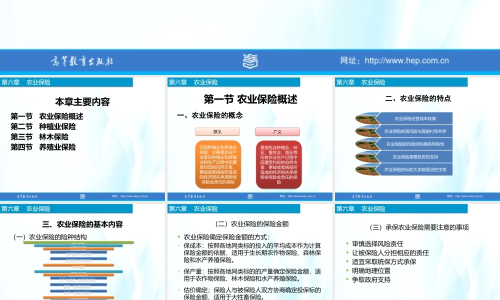 6-农业保险.pptx