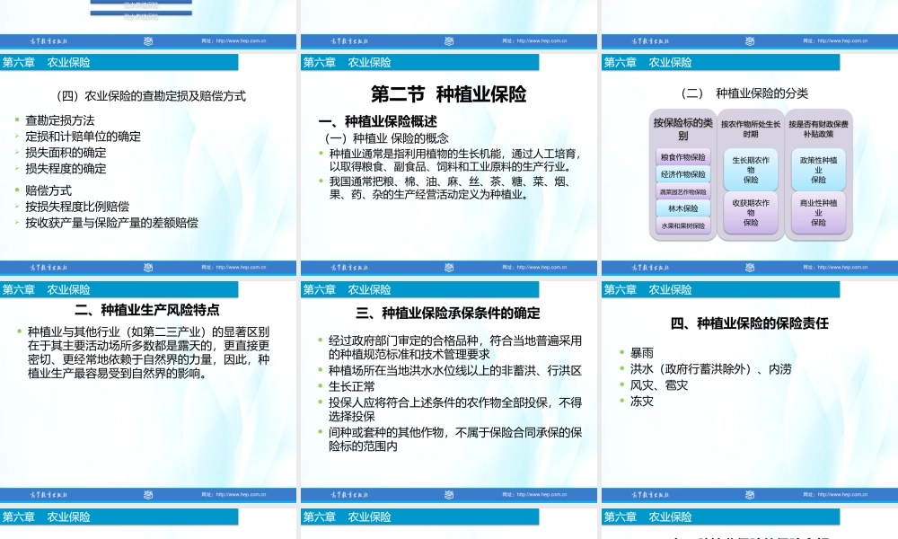 6-农业保险.pptx