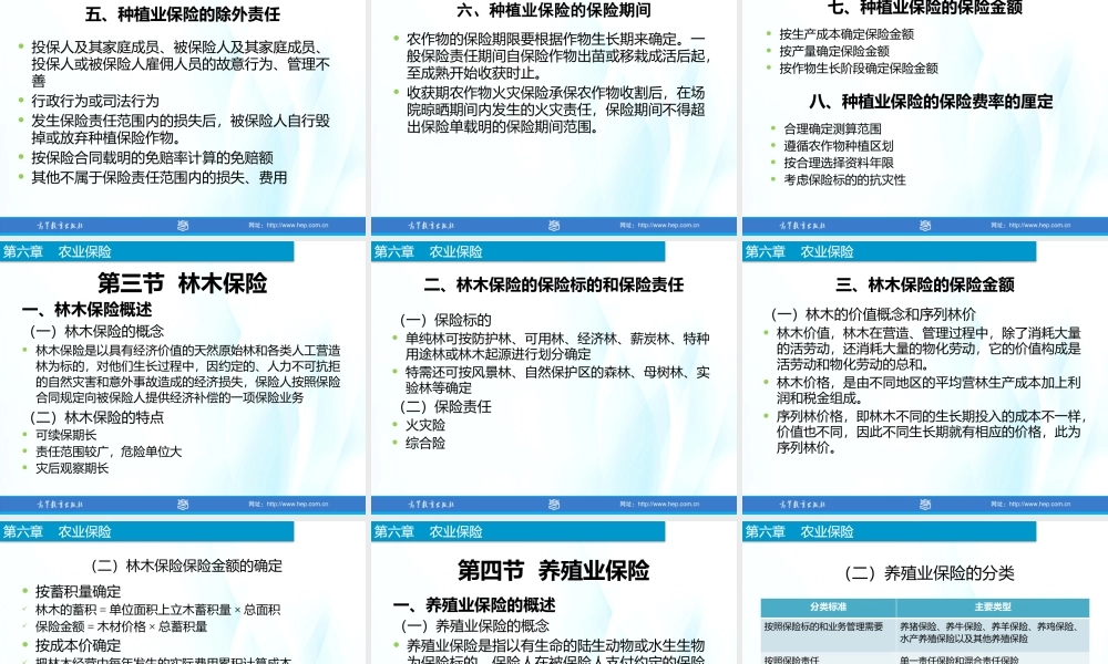 6-农业保险.pptx