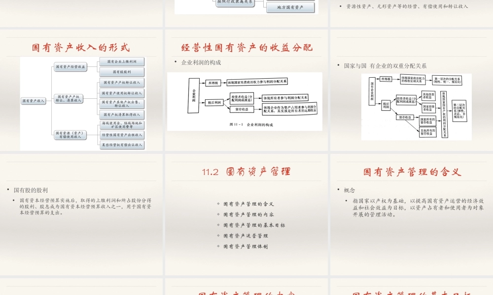 11 国有资产收入.ppt