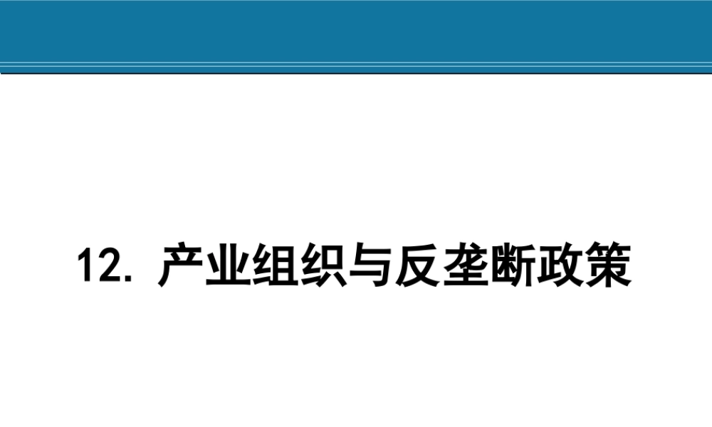 12. 产业组织政策.ppt