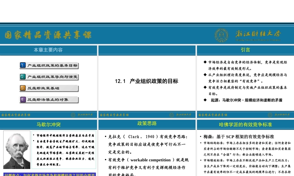 12. 产业组织政策.ppt