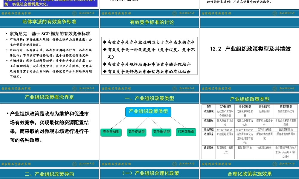 12. 产业组织政策.ppt