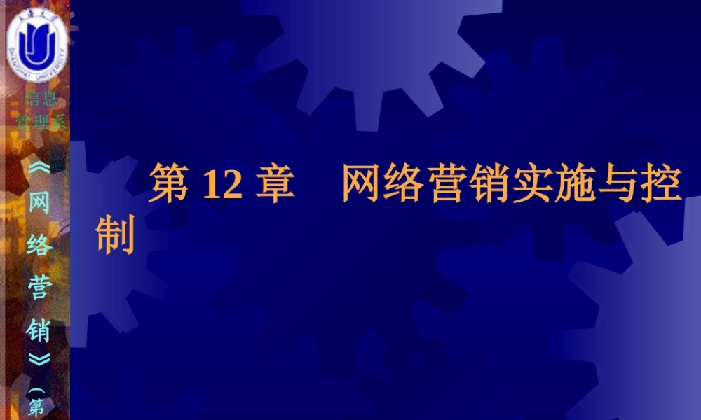 12第12章网络营销实施与控制.ppt