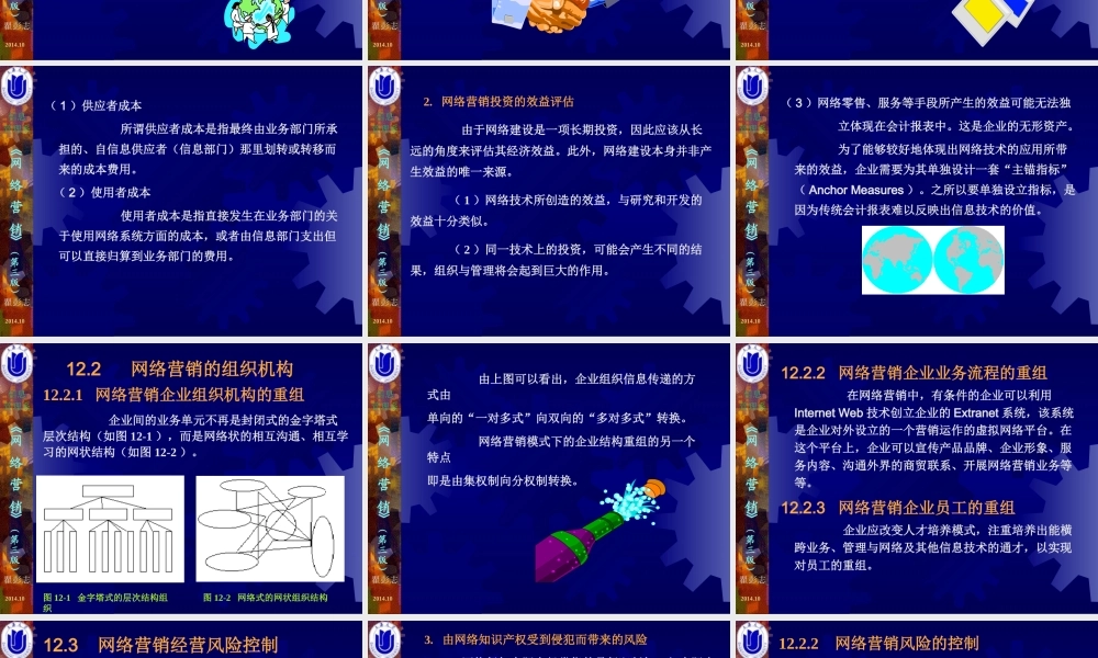 12第12章网络营销实施与控制.ppt