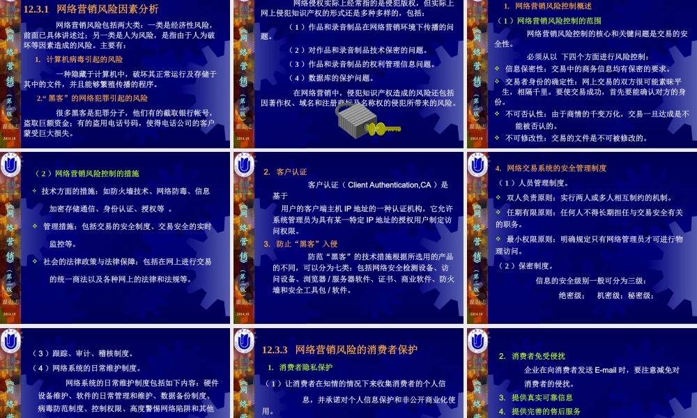 12第12章网络营销实施与控制.ppt