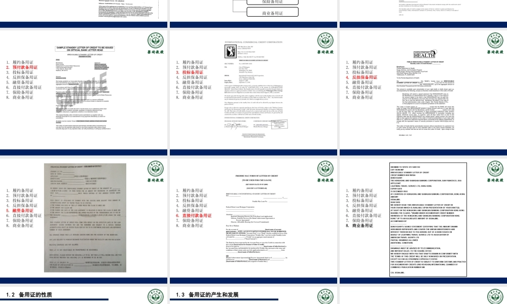 13第十三章-备用证.ppt