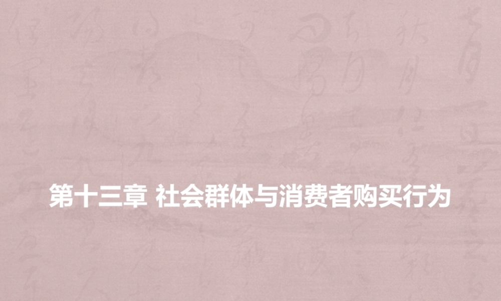 m第十三章 社会群体与消费者购买行为.pptx