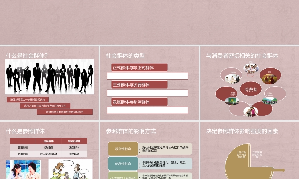 m第十三章 社会群体与消费者购买行为.pptx