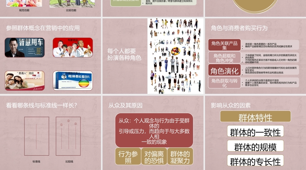 m第十三章 社会群体与消费者购买行为.pptx