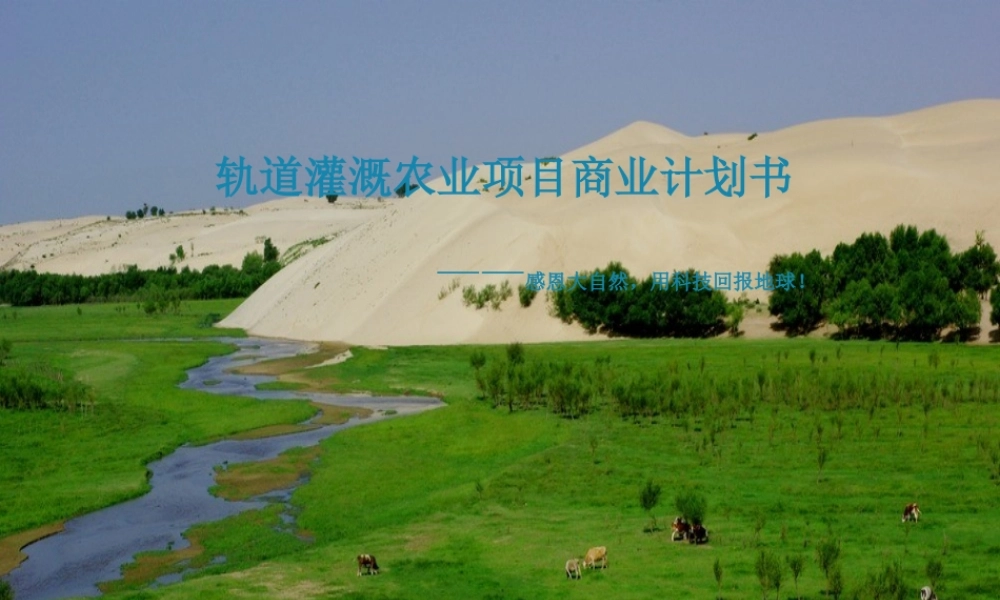 沙漠农业计划书.ppt