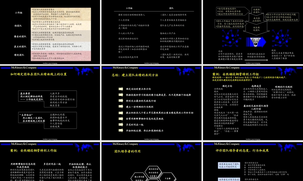 麦肯锡内部培训手册——团队的智慧.ppt