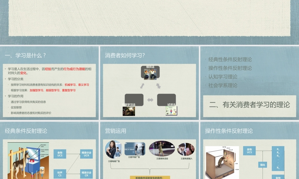 h第八章 消费者的学习与记忆.pptx