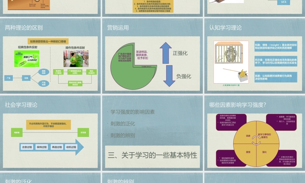 h第八章 消费者的学习与记忆.pptx