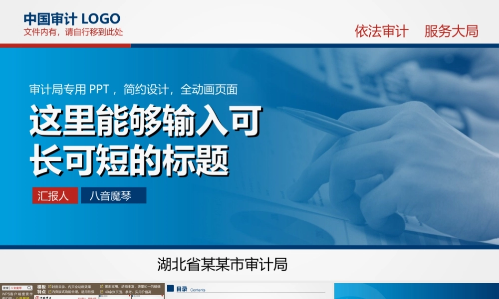 审计报告审查监察统计调查PPT.ppt