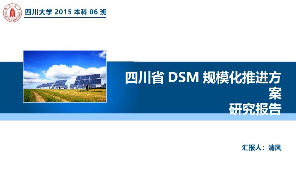 四川省DSM规模化推进方案研究报告PPT——亮亮图文旗舰店.pptx