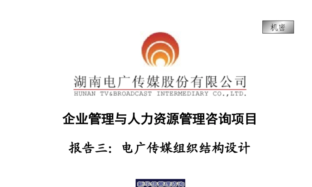 新华信 - 电广传媒组织结构设计.ppt