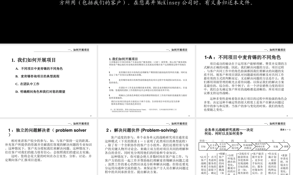 新顾问入门（一）－我们如何开展项目.ppt