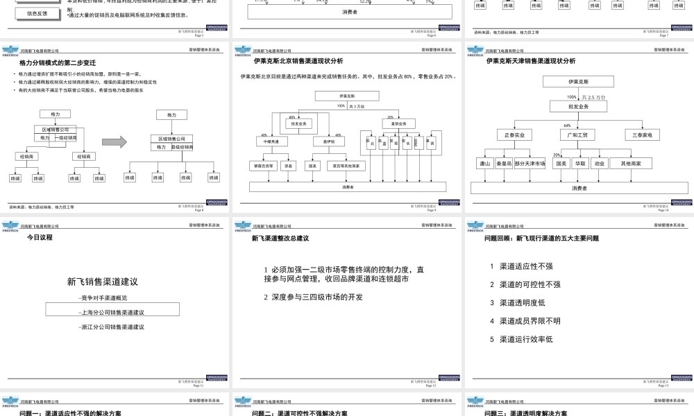 新飞冰箱营销管理体系咨询营销网络建议(1).ppt