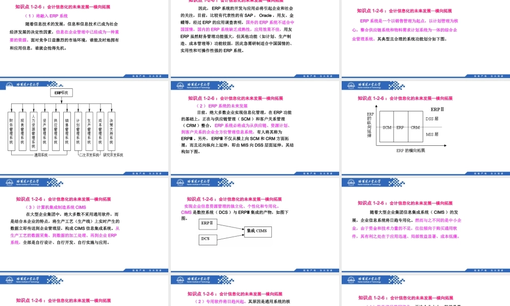 (013)1.2.6：会计信息化的未来发展—横向拓展.pptx