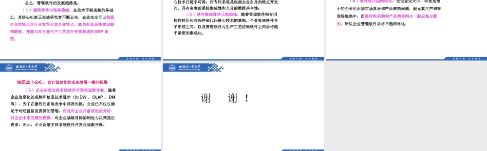 (013)1.2.6：会计信息化的未来发展—横向拓展.pptx