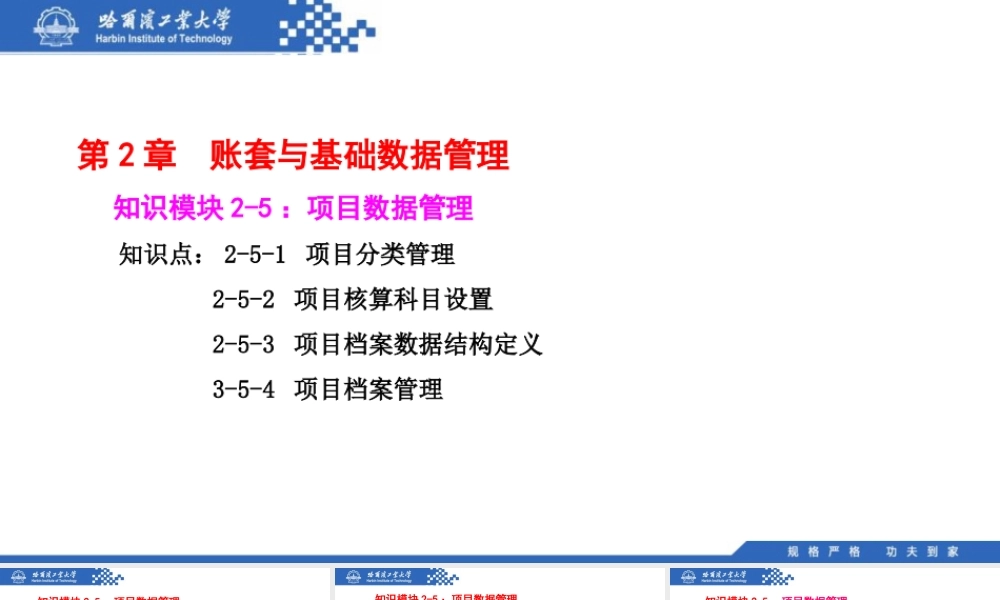 (037)2.5.1：项目分类管理.pptx